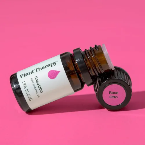Miniatura 7 de Plant Therapy Aceite esencial Rose Otto 5 mL (1/6 oz) 100% puro, sin diluir, aromaterapia, cuidado de la piel, relajante y romántico aroma