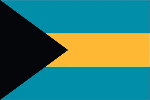 Miniatura 9 de Bandera de poliéster de Venezuela de 3 x 5 para interiores o exteriores, más de 200 banderas internacionales de 3 x 5 pies (35.4 x 59.1 in)