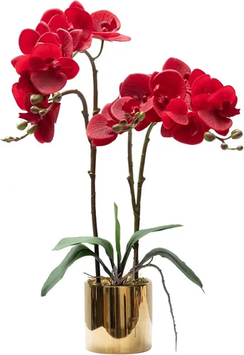 Miniatura 7 de CXGS Planta de orquídeas artificiales de tacto real, orquídeas falsas en jarrón de cerámica, naranja, 19.7 pulgadas, arreglo floral falso