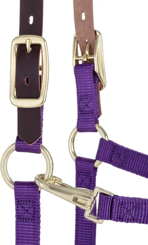 Miniatura 5 de Weaver Leather dogal para caballo ajustable con rotura de nailon, púrpura, para potrillo destetado/Pony