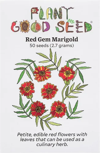Plant Good Seed Semillas orgánicas de caléndula roja – Paquete de 50 semillas tradicionales para plantar flores – Suministros de jardinería, flores