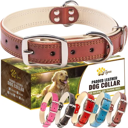 Miniatura 8 de ADITYNA Collar de cuero resistente para perros grandes - Suave y acolchado para mayor comodidad - Collar grande para perros para caminar, entrenar