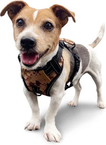 Miniatura 10 de Arnés antitirones para perro pequeño con 2 hebillas de liberación rápida y mango de fácil control, chaleco suave reflectante sin estrangulamiento