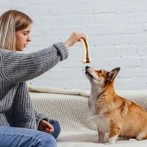 Miniatura 7 de Sosation Juguetes para perros en forma de huesos para masticadores agresivos, paquete de 2 juguetes navideños para masticar perros, dentición