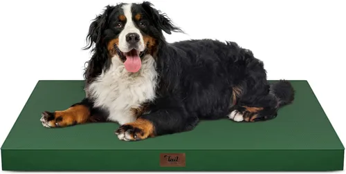 Miniatura 103 de Cama ortopédica de felpa para perros y cachorros medianos, camas impermeables para perros de 30 x 20 pulgadas con funda extraíble lavable, tapete