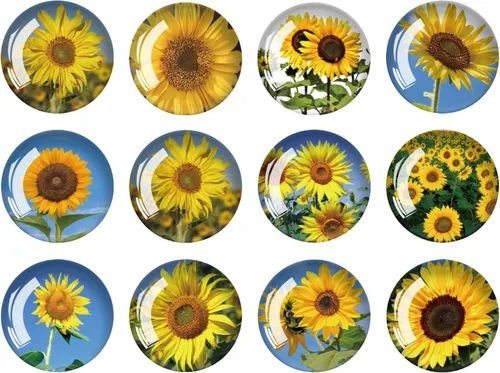 Miniatura 12 de Imanes de vidrio fuerte mezclado con purpurina brillante, 12 imanes para refrigerador, divertida forma de imán de nevera, lindo imán pequeño