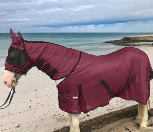 Miniatura 15 de Majestic Ally Sábana para mosca de caballo con cubierta para el cuello y máscara para la cabeza, protección transpirable contra los rayos UV