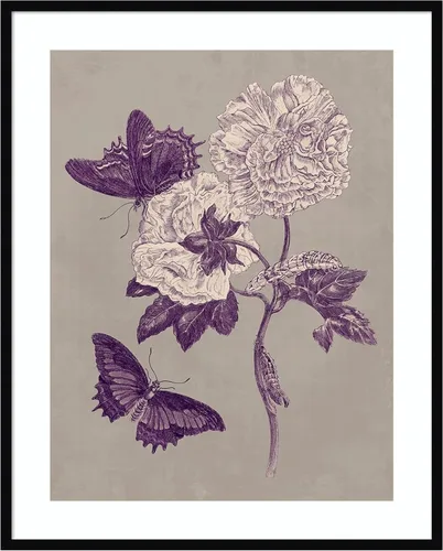 Miniatura 14 de Amanti Art Lienzo decorativo para pared, 24 x 20 pulgadas, estudio de la naturaleza en ciruela y gris pardo IV por Maria Merian, arte de pared