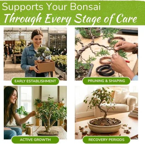 Miniatura 3 de Alimento para árbol bonsái Fertilizante líquido suave de primera calidad para un crecimiento saludable, tallos fuertes y hermosas floraciones
