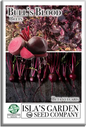 Bull's Blood Semillas de remolacha para plantar, más de 100 semillas de reliquia por paquete, semillas de jardín de Isla (semillas de jardín de