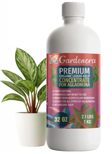 Miniatura 53 de GARDENERA Superalimento orgánico prémium de algas marinas y algas marinas para plantas AGLAONEMA, 8 onzas, concentrado de fertilizante líquido