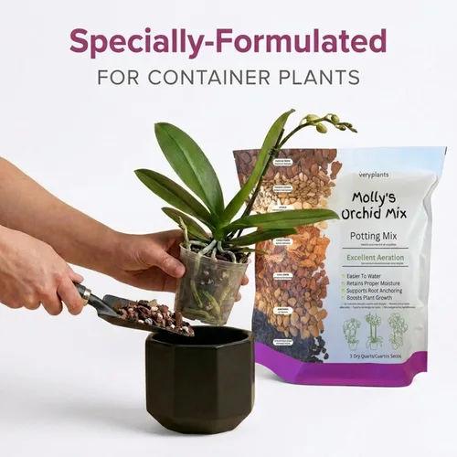 Miniatura 6 de Mezcla para maceta de orquídea Molly - Mezcla premium sin tierra para orquídeas granulada - Suelo con alto drenaje y textura grumosa vs suelo