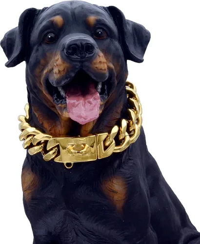 Miniatura 5 de Collares dorados de acero inoxidable fuertes para perros con cierre de hebilla de seguridad, collar de entrenamiento de cadena de eslabones cubanos