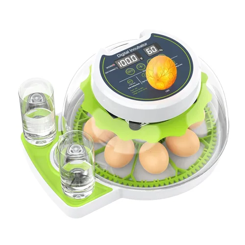 Incubadora de 8 huevos con giro automático de huevos, control de temperatura y humedad, vela de huevos, mini incubadora digital para incubar pollo,