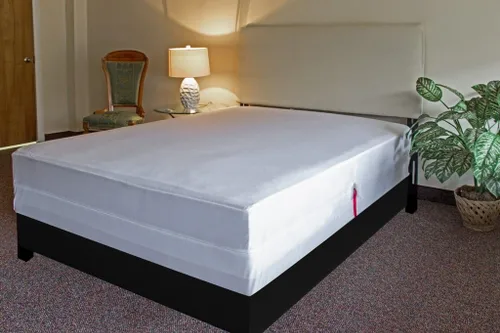 Miniatura 4 de L' Cozee - Protector de colchón impermeable a prueba de insectos con cremallera, protector de colchón – Protección completa contra insectos – Bed