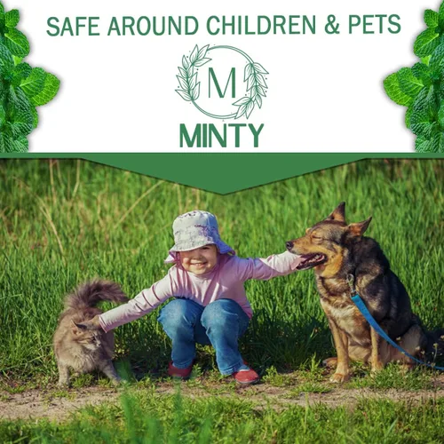 Miniatura 5 de Minty Repelente de roedores, espray de aceite de menta natural al 5% para ratones, ratas, ardillas y roedores, en interiores y exteriores, uso