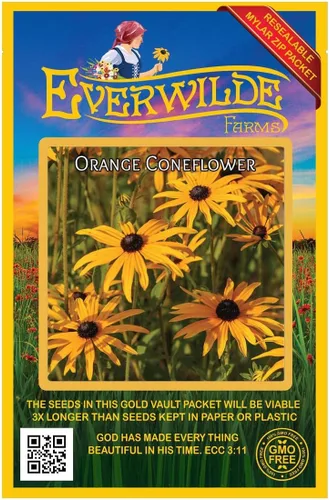 Everwilde Farms - 200 semillas de flores silvestres nativas de equinácea naranja - Paquete de semillas Gold Vault