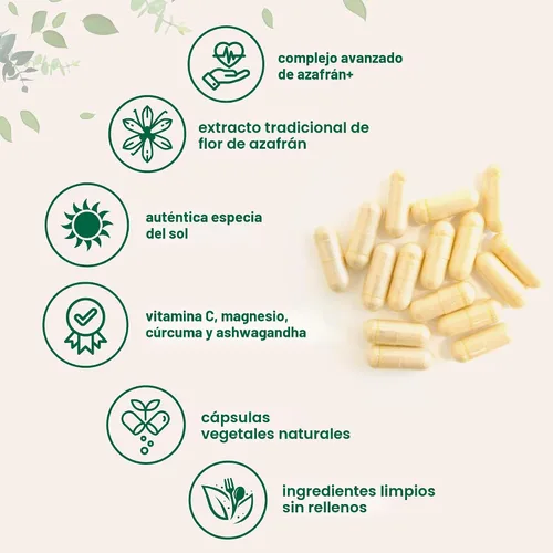 Miniatura 3 de Micro Ingredients Saffron+ Advanced Supplements, 60 cápsulas vegetarianas – 10 en 1 con extracto de azafrán, vitamina C soluble en grasa de alta