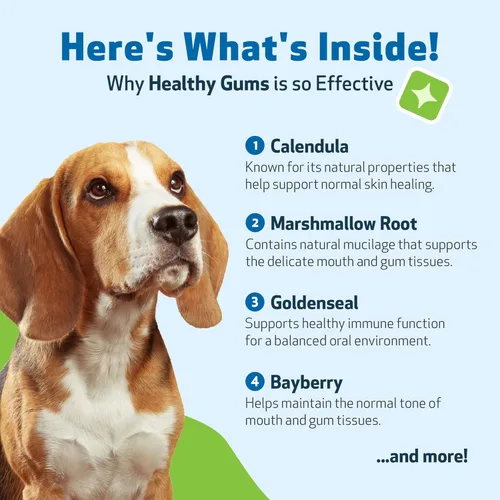 Miniatura 7 de Pet Wellbeing - Encías saludables para perros - Suplemento natural para encías, dientes y aliento saludables contra la gingivitis del perro - 2oz
