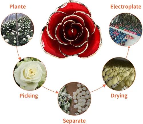 Miniatura 6 de Fydun Rosa dorada para adultos mayores, hoja verde, tallo largo, sumergida en oro de 24 quilates, en caja de regalo con soporte transparente, rosas