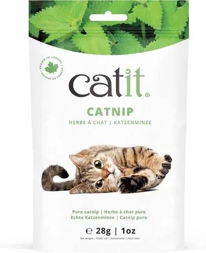 Miniatura 6 de Catit Burbujas de hierba gatera para estimular gatos de interior y exterior