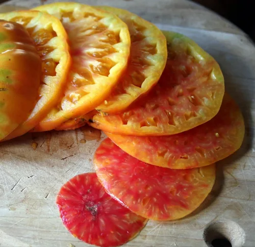Semillas de tomate Hillbilly Heirloom - Más de 30 semillas