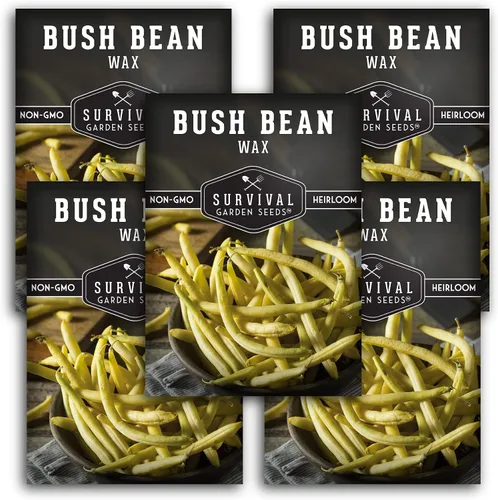 Survival Garden Seeds - Semilla de frijol Golden Wax Bush para plantar - 5 paquetes con instrucciones para plantar y cultivar frijoles amarillos en