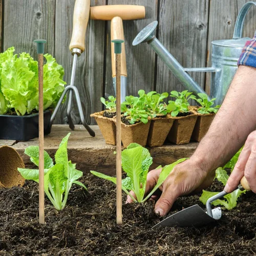 Miniatura 9 de Happyyami 36 tapas de caña de jardín, protectores de plástico flexibles para varillas de soporte de plantas, previenen lesiones y daños, 1.18 x 1.18