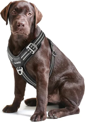 Miniatura 16 de Arnés sin tirones para perro, chaleco reflectante ajustable con broche de metal, malla suave transpirable sin estrangulamiento para cachorro, fácil