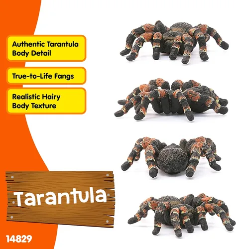 Miniatura 2 de Schleich Vida Silvestre, Figura de Animal, Juguetes de Animales para Niños y Niñas de 3 a 8 Años, Tarántula