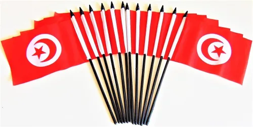 Miniatura 42 de Paquete de 12 banderas de escritorio de oficina en miniatura de poliéster internacional de 4 x 6 pulgadas, 1 docena de banderas pequeñas de 4 x 6