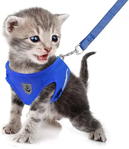 Miniatura 21 de FEimaX Juego de arnés y correa para perro, malla suave ajustable, de fácil control, chaleco ligero para gatos con tiras reflectantes, a prueba