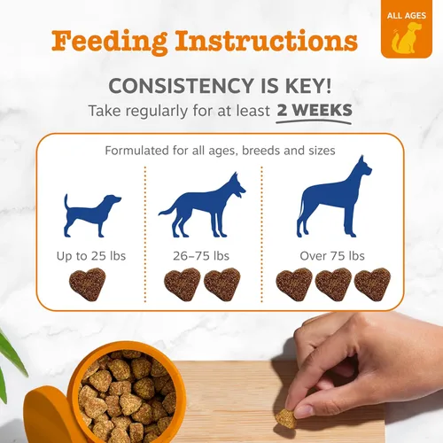 Miniatura 4 de Zesty Paws Multivitamínico para perros – Glucosamina y condroitina + MSM para cadera y articulaciones + alivio de artritis – encimas digestivas