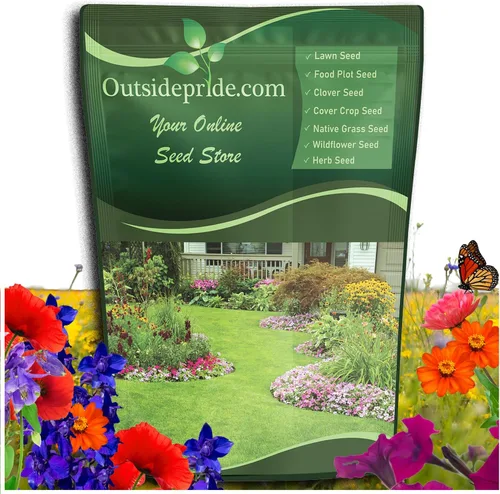 Outsidepride Mezcla de semillas de flores silvestres Birds & Butterfly - 1 libra. Mezcla premium de semillas de flores silvestres anuales y perennes
