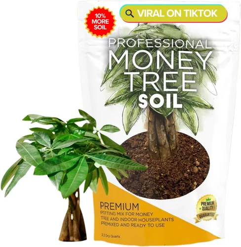 Miniatura 22 de Bird of Paradise - Mezcla profesional para macetas de 2.2 cuartos de galón, lista para usar, tierra de interior premium para plantas de aves