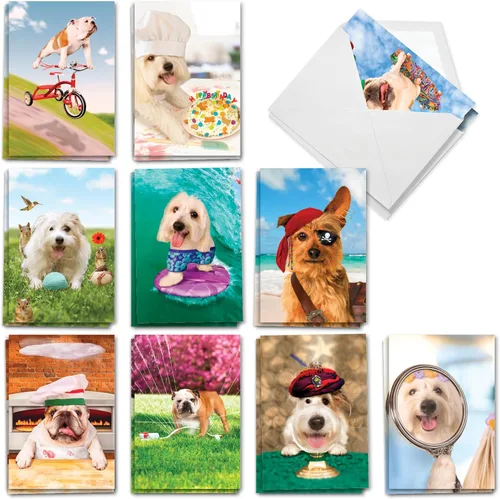 Miniatura 11 de NobleWorks 20 tarjetas de cumpleaños divertidas surtidas en caja con sobres de 5 x 7 para hombres, mujeres (10x2 diseños) Dave Coverly's Dog Days