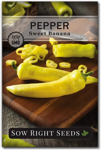 Sow Right Seeds - Semilla de pimiento dulce de plátano para plantar - Paquete de reliquia sin OMG con instrucciones para plantar un huerto en el