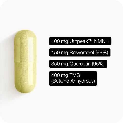 Miniatura 7 de Toniiq Suplemento NMNH – Complejo de 1,000 mg de potencia ultra alta con Uthpeak™ NMNH clínicamente estudiado, resveratrol, quercetina y TMG