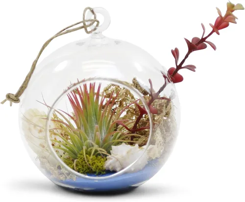 Miniatura 4 de WGV Globo de terrario colgante, ancho 5 pulgadas, altura 6 pulgadas, maceta de aire para suculentas, florero de vidrio transparente con parte