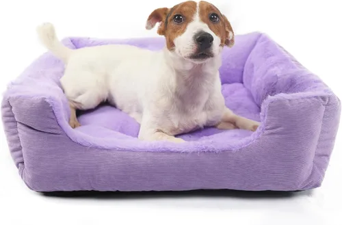 Cama para perros pequeños, de 20 pulgadas, para perros pequeños, cama rectangular suave para cachorros con superficie de felpa, cama lavable para