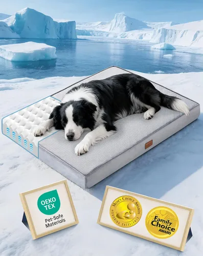 Miniatura 23 de OhGeni Cama ortopédica impermeable para perros pequeños, funda extraíble lavable a máquina en tela fácil de limpiar, espuma de alta densidad y asa