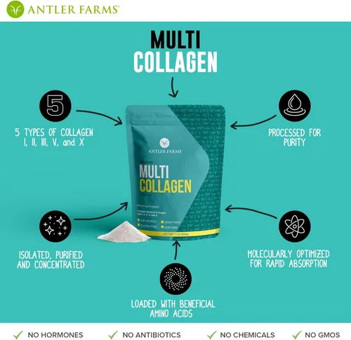 Miniatura 4 de Antler Farms - Polvo de proteína de colágeno múltiple - 5 tipos (I, II, III, V y X) Péptidos de colágeno hidrolizados 100% puros para hombres