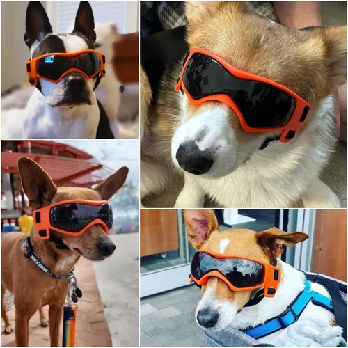 Miniatura 2 de NAMSAN Lentes de sol para perros de raza media, con protección UV para perros pequeños a medianos, resistentes al viento, antivaho, a prueba