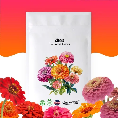Zinnia Seeds – Mezcla de Gigantes de California – 1000 semillas – Colores mezclados y flores grandes, reliquia sin OMG cultivada en Estados Unidos,