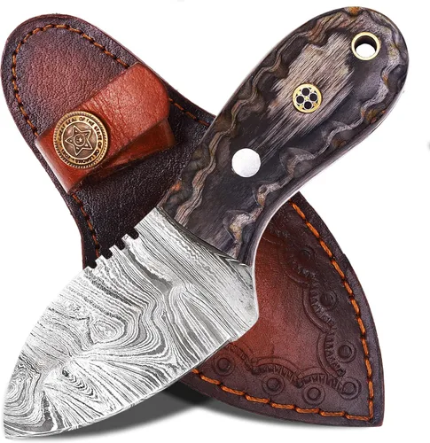 ANCILLA Cuchillo de caza de Damasco hecho a mano EDC para ciervo, hoja fija de espiga completa, mini cuchillo de cuello de vaquero de bolsillo para