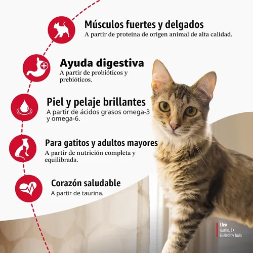 Miniatura 3 de Nulo FreeStyle Alimento para gatos y gatitos alto en proteínas, receta de pavo y pato - Alimento seco natural para gatos sin granos con ácidos