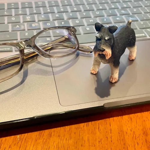 Miniatura 7 de Safari Ltd. Schnauzer - Figura detallada de plástico de 3 pulgadas, divertido juguete educativo para niños, niñas y niños a partir de 3 años
