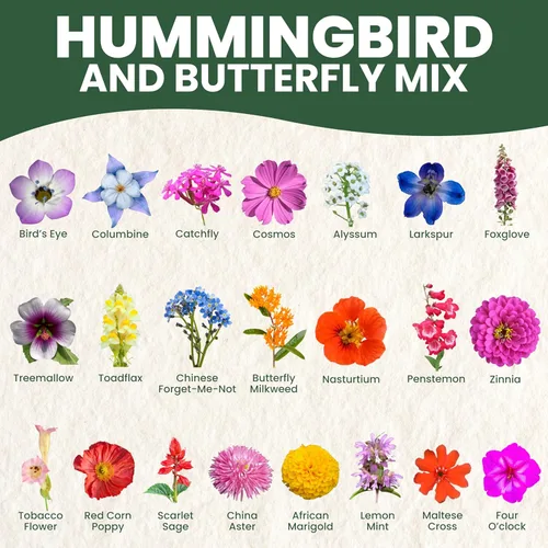 Miniatura 3 de Mezcla de mariposas y colibríes - Paquete grande de 1 onza - 7,500 semillas de flores para plantar - Mezcla de flores silvestres