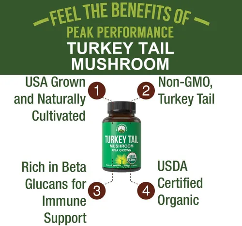 Miniatura 2 de Peak Performance Cápsulas orgánicas de cola de pavo - Cultivadas en Estados Unidos con hongo real de cola de pavo. Apoyo al sistema inmunológico