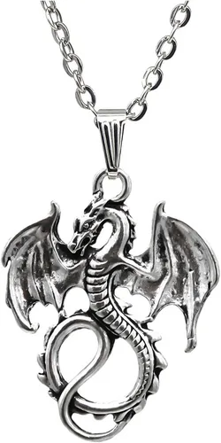 DALUNDREAMLI Personalized Fierce Animal Dragon Necklace Dragon Jewelry Infinite Charm Friendship Necklace Pendants Gift